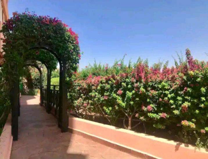 Propriete De Village Privee Marrakech Avec Piscines Appartamento *