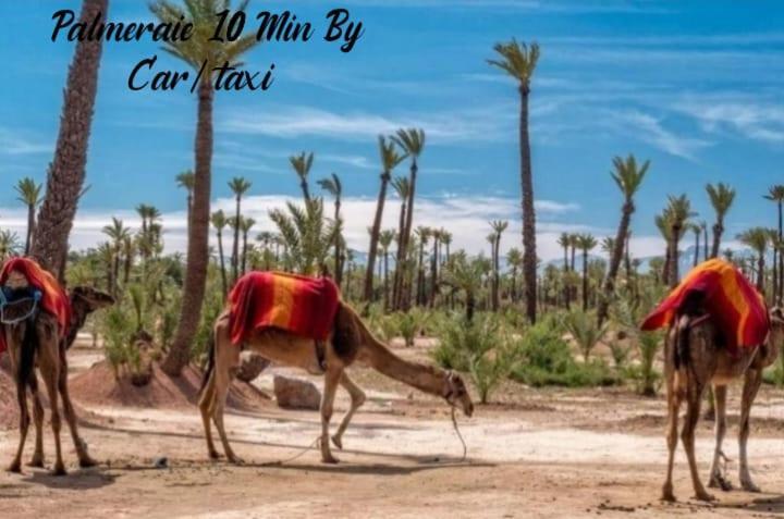Propriete De Village Privee Marrakech Avec Piscines Appartamento *